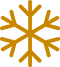 Freeze icon